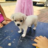 用户8044550126796头像