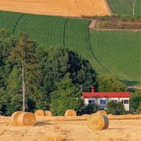 精品二手车小陈头像