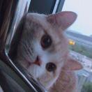 Jaden的个人资料头像