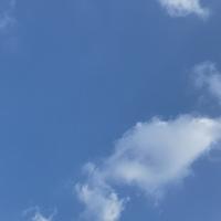 用户851766534316头像