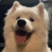 用户8372210935086的个人资料头像