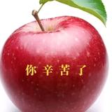 善良一心一意海洋H1头像