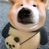 兜里可没有糖头像