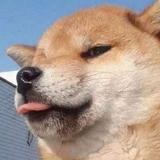 执着的小红花2U4头像