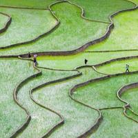 欢快光束gc头像