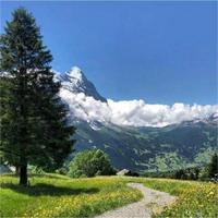 快乐杰西7D5头像