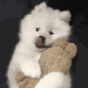 依朋的个人资料头像