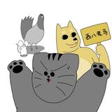 猫猫猫满满正能量头像