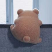 熊熊382的个人资料头像