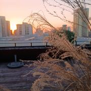 miniboom的个人资料头像