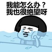 满月拿了个3血头像