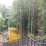 烟的味道头像