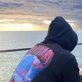喜欢汽车的小马头像