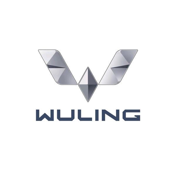 厦门五菱汽车头像