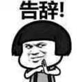 奇妙清风Jfx头像