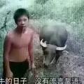 帅的都想哭头像