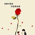 骑着黑马的王子LWY头像