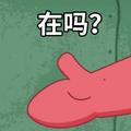 一条阿猫子头像
