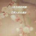 向前进224713450头像