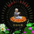 任Ni头像