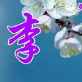 李国兵288头像