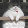 用户5365468084270头像