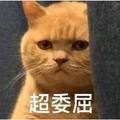 用户2943475908284头像