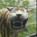 竹笋拌肉头像