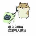 守护你的温柔2头像