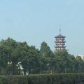 用户153789727头像