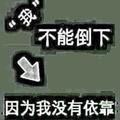 智者荷叶AA头像