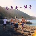 随性自由的麻酱zH头像