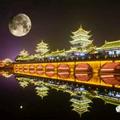 唐哥157123034头像