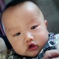 一品茶13头像