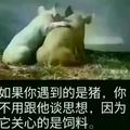 尘埃111385661头像