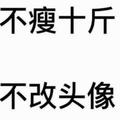 懂车小子头像