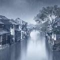 清171463头像