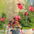 春暖花开744882头像