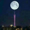 weizai3头像