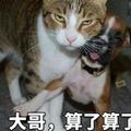 楚狂如我头像