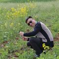 hehe123806264头像