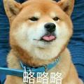 Purewhite144204497头像
