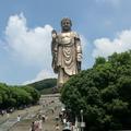 人本轴承三力士三角带头像