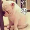 如果没有如果_头像