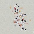 叮叮当82120597头像