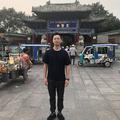 理智如我009头像