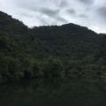 野性展露头像