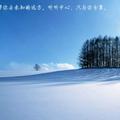 阿信147081351头像