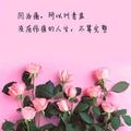 木乱舍了头像