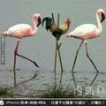 天行丨健头像